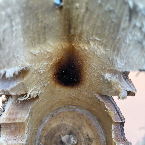 Rustic Log Lantern, Preowned (For Bundles Only) - Picture 10 of 10